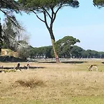 I Levrieri Torre del Lago Puccini