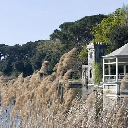 I Levrieri Torre del Lago Puccini